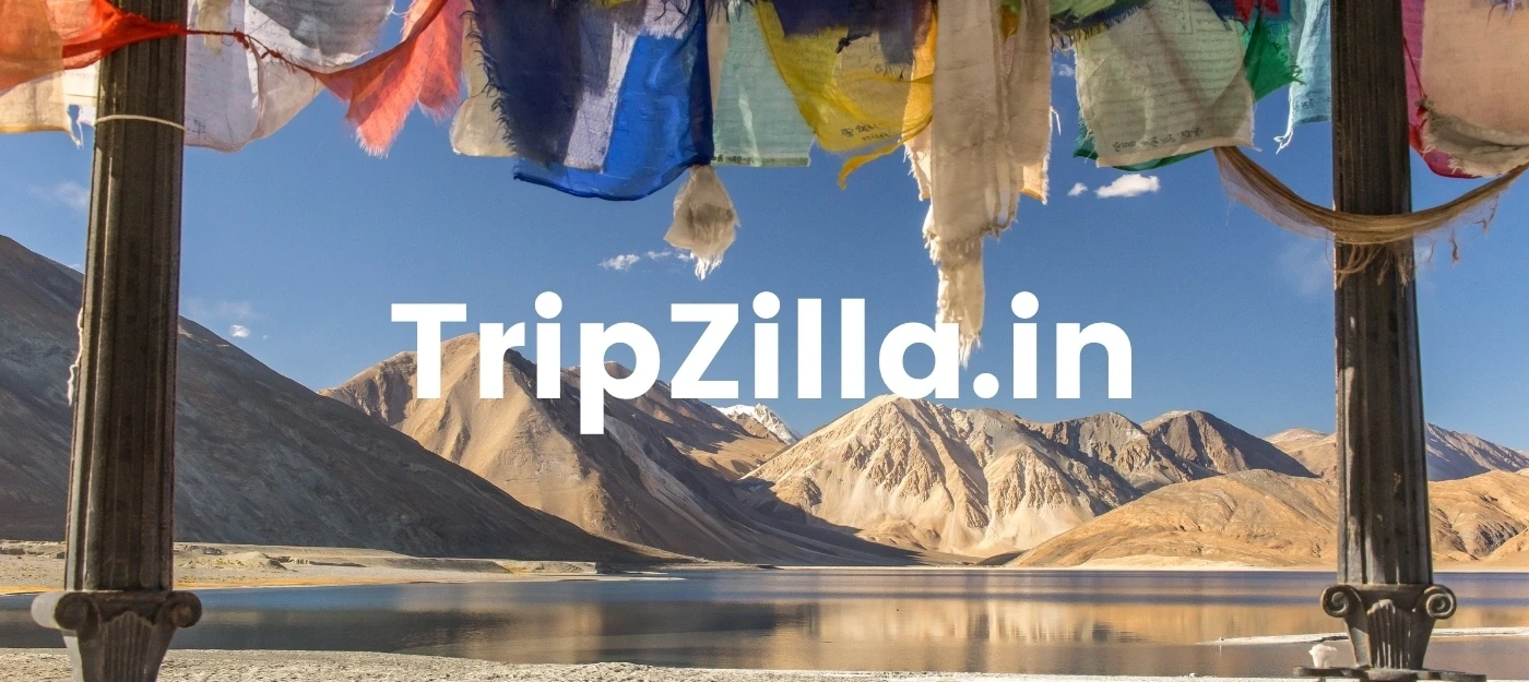 TripZilla.in